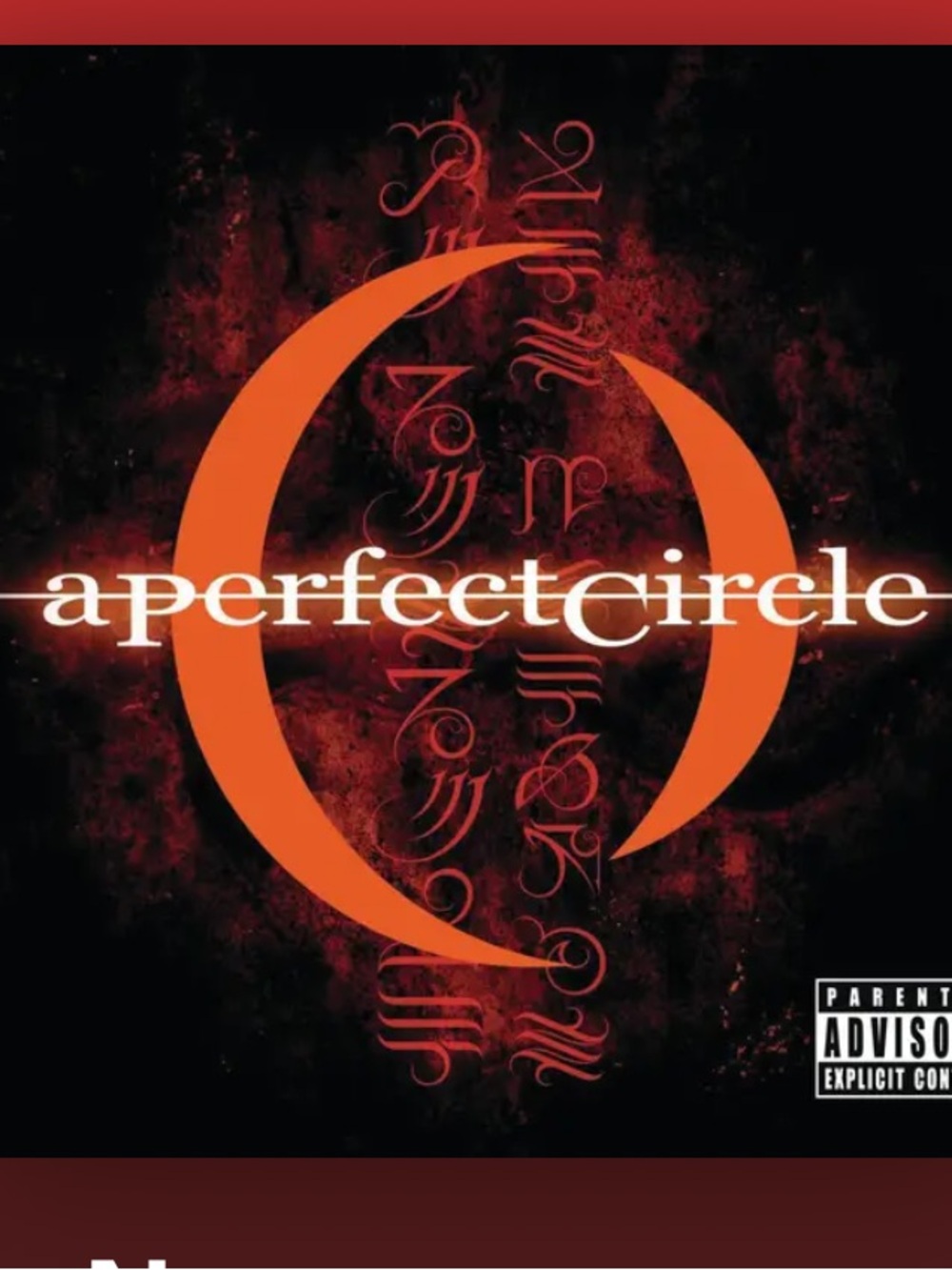 Vintage A Perfect Circle Black Graphic Unisex Tee